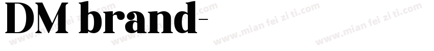 DM brand字体转换